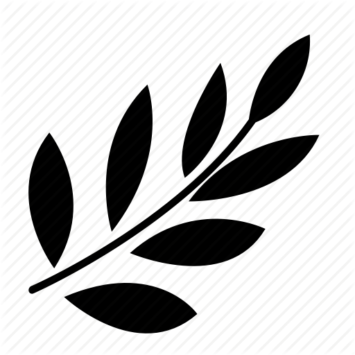 512x512 Blossom, Floral, Flower, Petal, Plant Icon