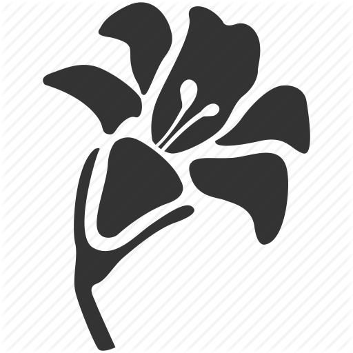 512x512 Bloom, Environment, Floral, Flower, Funeral, Lilly, Plant Icon