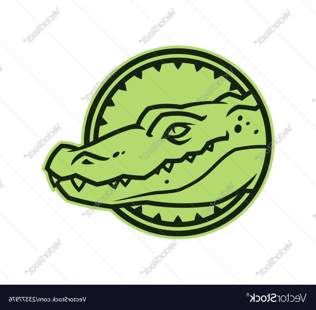 Florida Gators Icon