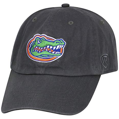 Florida Gators Icon at Vectorified.com | Collection of Florida Gators ...