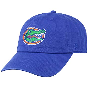 355x355 Top Of The World Florida Gators Men's Hat Icon, Royal