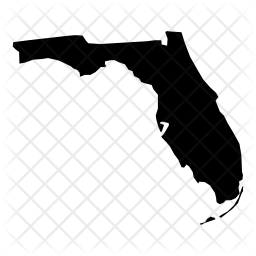 256x256 Florida Icon Of Glyph Style