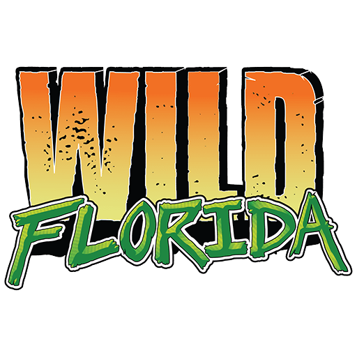 512x512 Wild Florida Site Icon