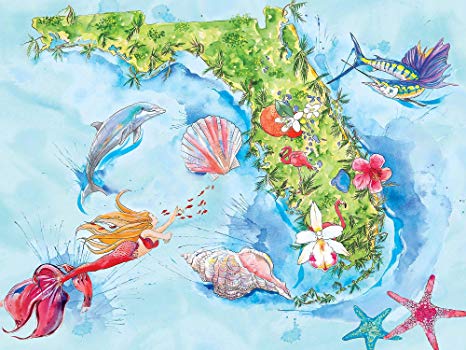 466x350 Amber Moran Pc Florida Icon Map Puzzle One Size
