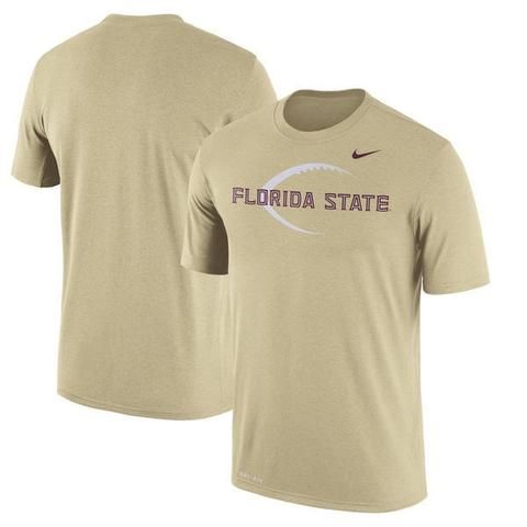 480x480 Ncaa Florida State Seminoles Nike Football Icon Legend Performance