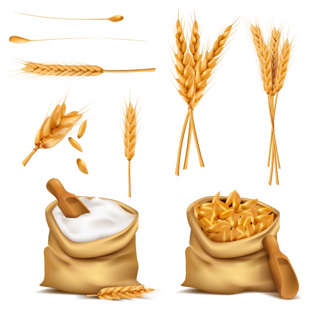 626x626 Flour Vectors, Photos And Free Download