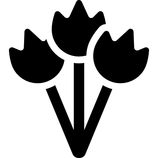 512x512 Flower Bouquet Icons Free Download