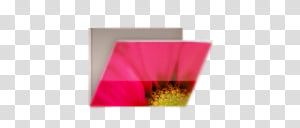 Glossy Garden Folders, Red Flower Folder Icon Transparent 300x128 Glossy Garden Folders, Red Flower Folder Icon Transparent