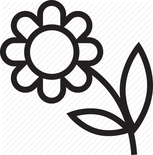 507x512 Flower Icon