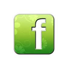 225x225 Facebook Icon Library The Daily Oasis