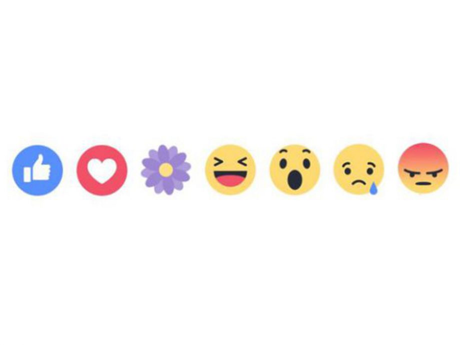920x690 Here's What The Flower Reaction Emoji On Facebook Actually Means