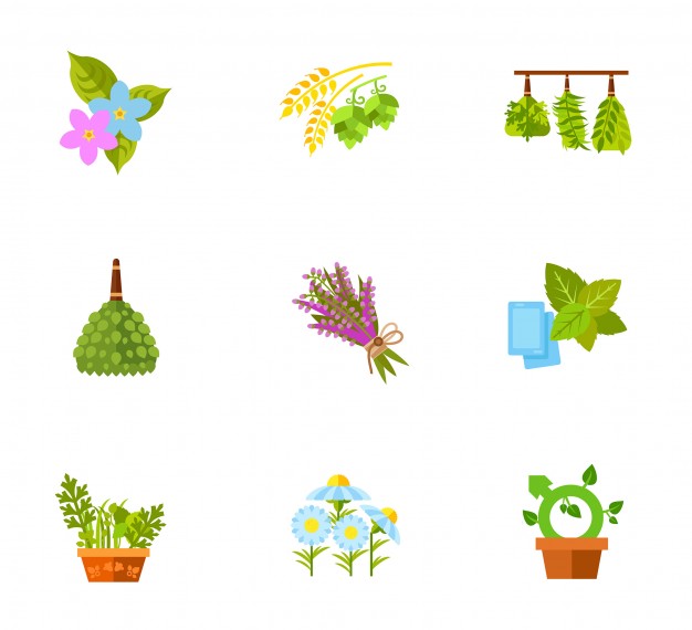626x570 Plants And Flowers Icon Set Vector Free Download