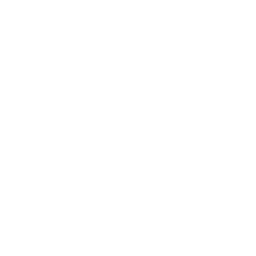 256x256 White Bunch Flowers Icon