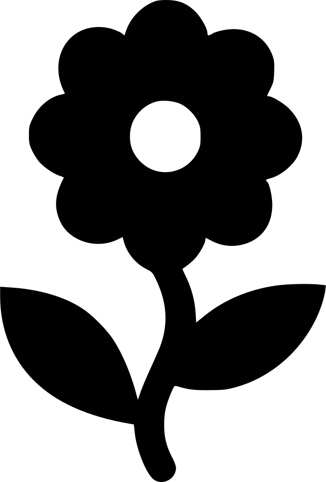 Hd Png 664x980 Hd Png