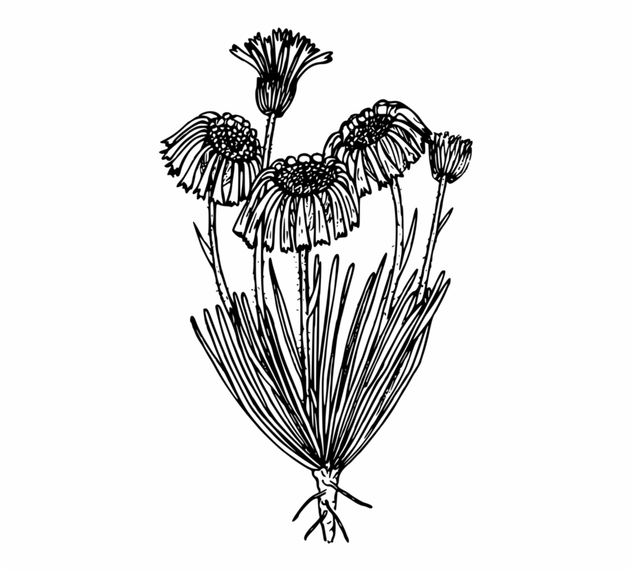 920x830 Computer Icons Black And White Symbol Flower