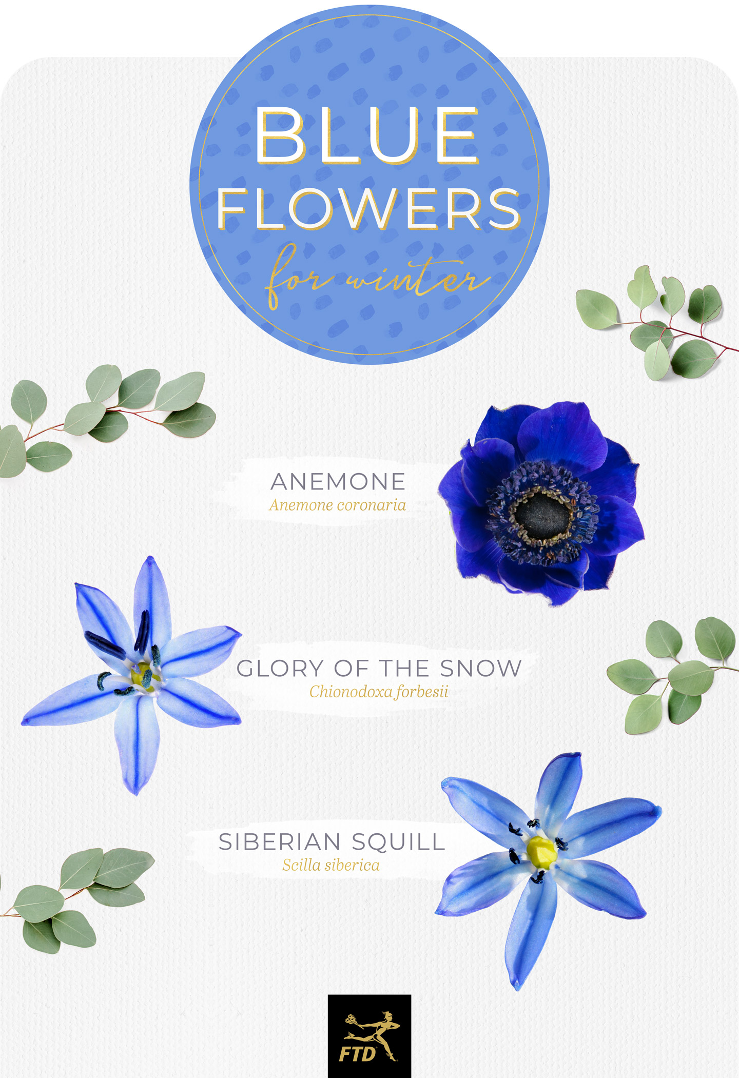 1440x2101 Blue Flower Text Symbol