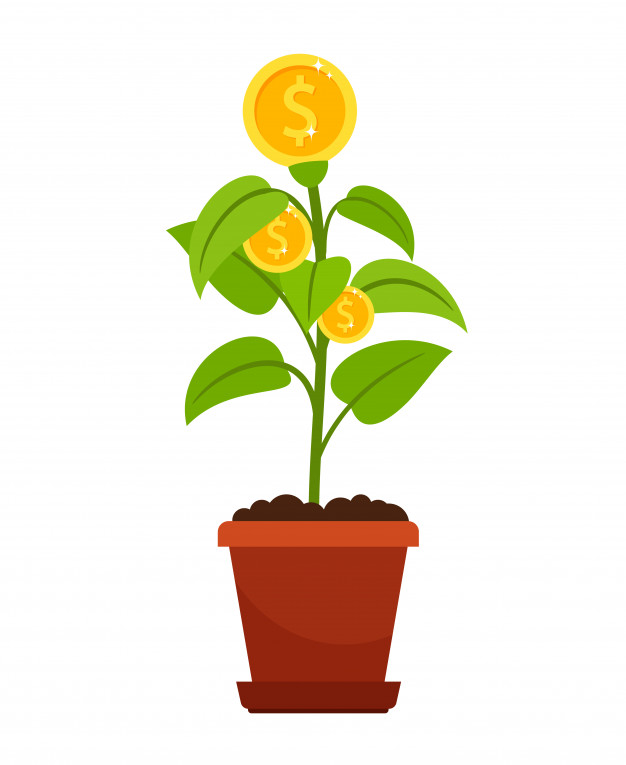 626x765 Money Tree In Flower Pot Icon On White Vector Premium Download