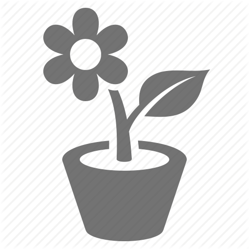 512x512 Daisy, Decoration, Flower, Growth, Plant, Pot, Potted Icon