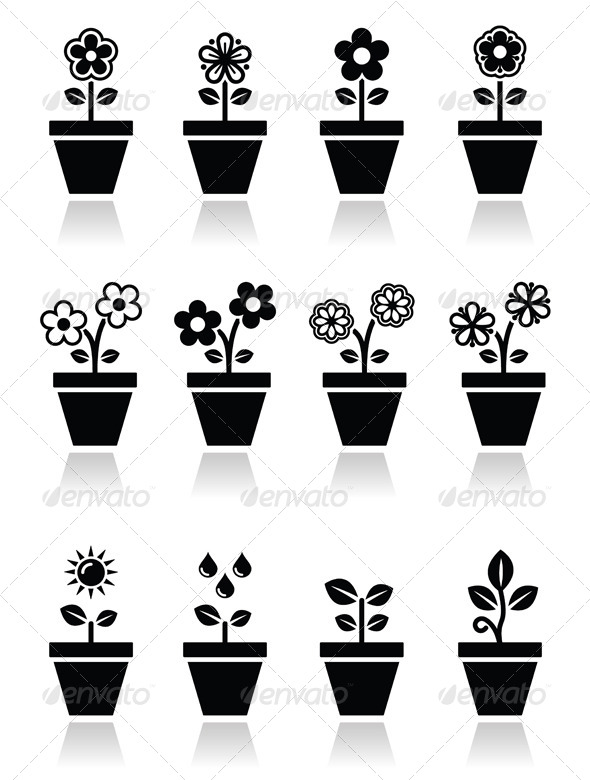 590x780 Pot And Vector Graphics, Designs Templates From Graphicriver