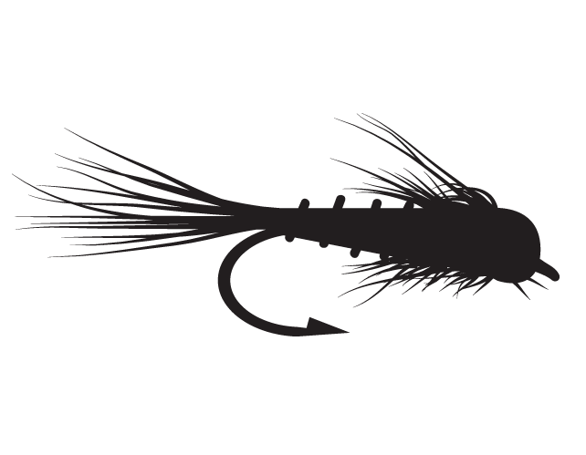 642x499 Attractornymphs Icon