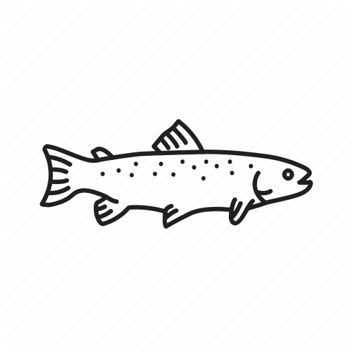 512x512 Fish, Fly Fishing, Fresh Water Fish, Rainbow Trout, Sport Fishing