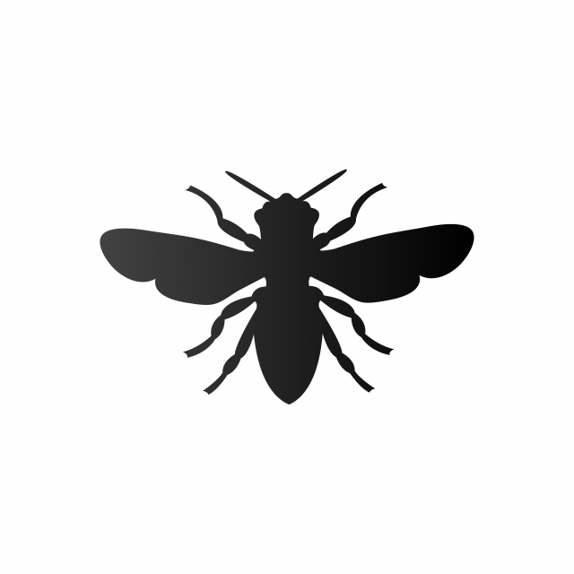 640x640 Fly Icon Material Design, Flies, Animals, Flying Png And Vector