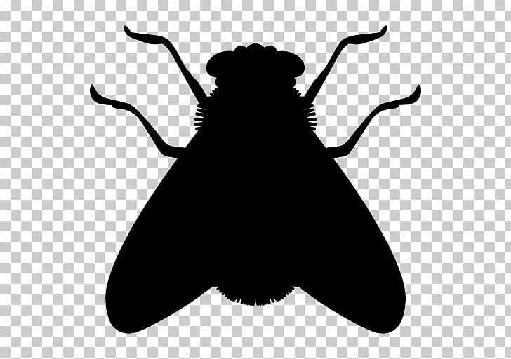 728x512 Insect Fly Icon, Silhouette Flies, Black Insect Cliaprt Png