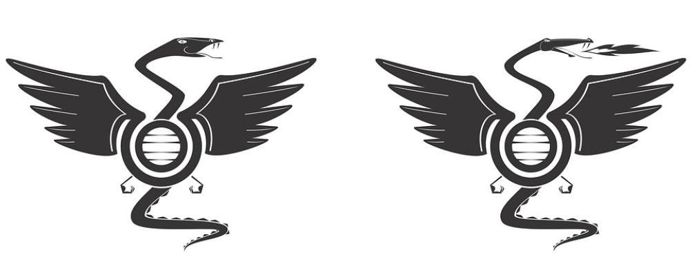 1000x392 Quality Prints