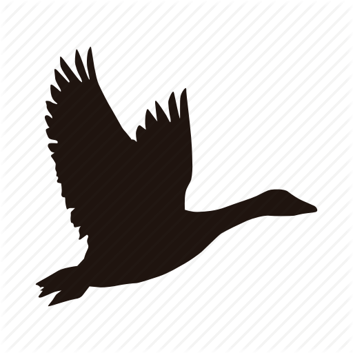 Bird, Flying, Goose, Zoo Icon 512x512 Bird, Flying, Goose, Zoo Icon