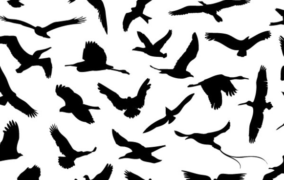 Fly Bird Icon Free Vector Download 581x368 Fly Bird Icon Free Vector Download