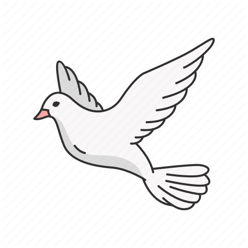 Animal, Bird, Dove, Feather, Flying Bird, Pigeons, Wings Icon 512x512 Animal, Bird, Dove, Feather, Flying Bird, Pigeons, Wings Icon
