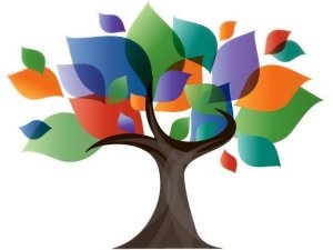 300x225 Follett Destiny