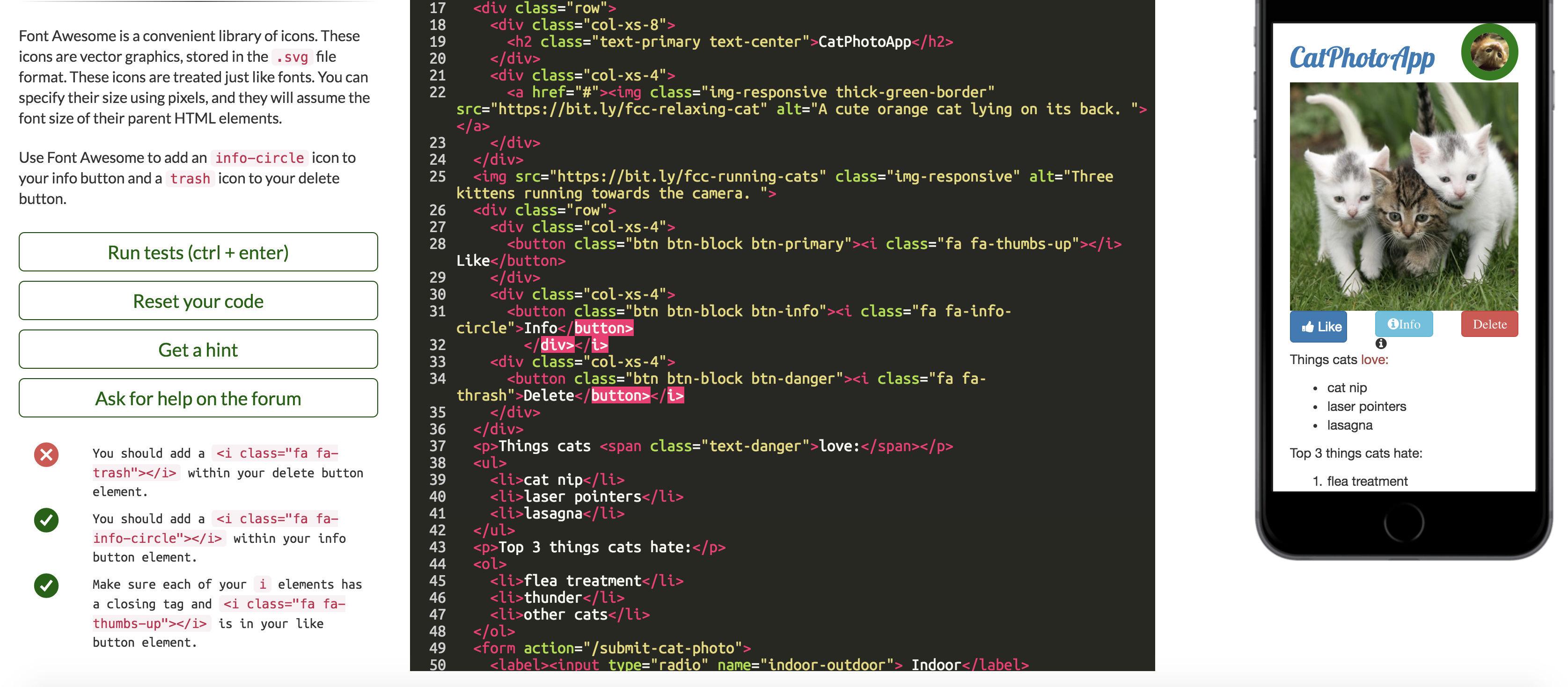 3350x1468 Font Awesome Button Not Displaying Exercise Stuck