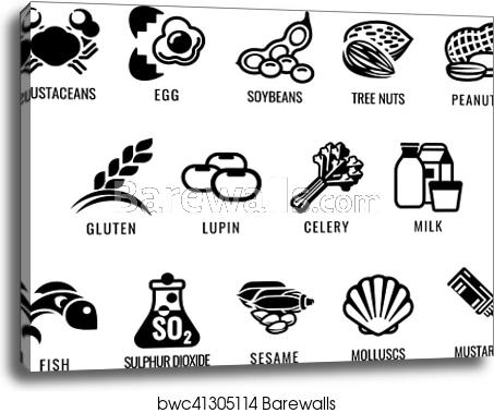 453x379 Food Allergen Icons, Canvas Print Barewalls Posters Prints