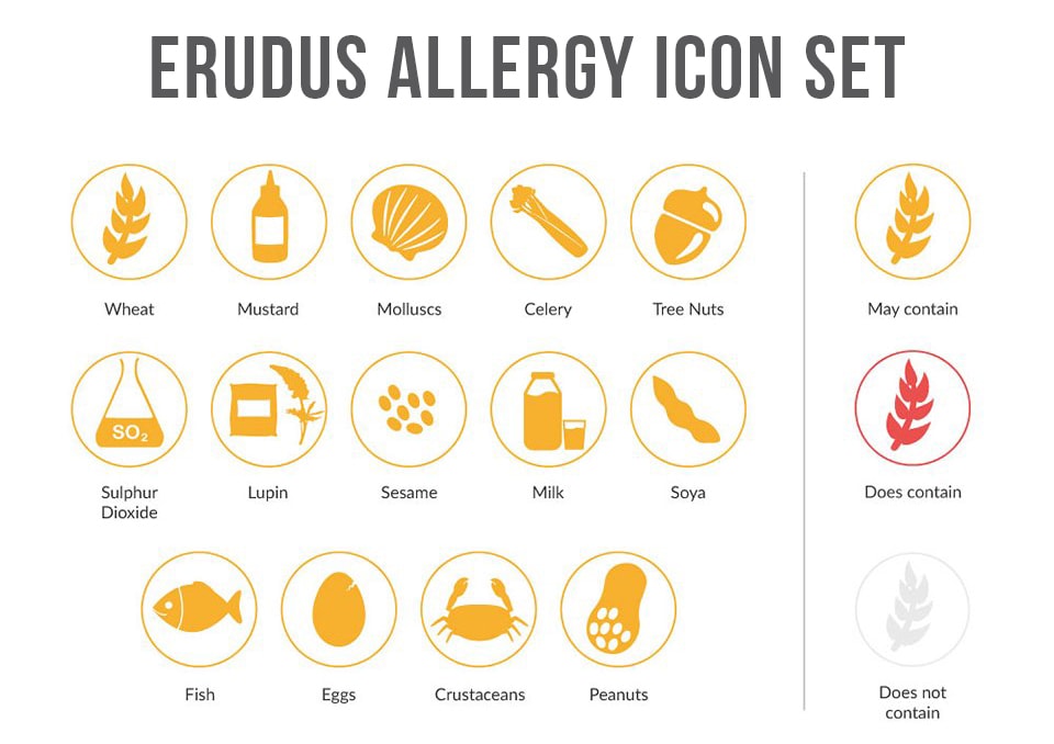 960x678 Food Allergy Icons A Standardised Approach For The Food Industry