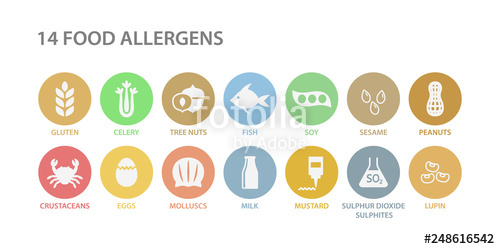 Food Allergy Icon at Vectorified.com | Collection of Food Allergy Icon ...