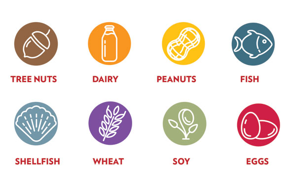 Food Allergy Icon at Vectorified.com | Collection of Food Allergy Icon ...