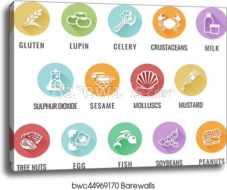453x379 Allergen Food Allergy Icons, Canvas Print Barewalls Posters