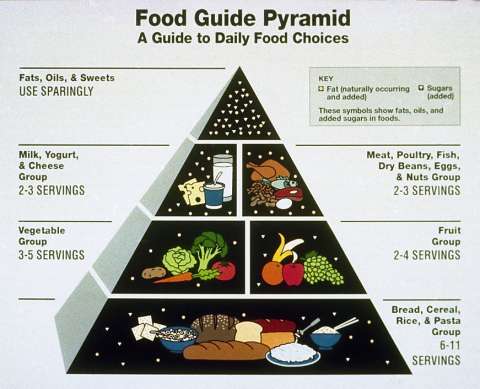 480x389 Food Plate Icon Improvement Of Pyramid