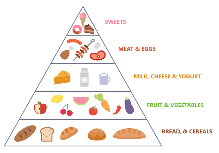 700x490 Free Food Pyramid Vector