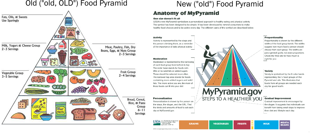1068x480 So, What Exactly Am I Supposed To Eat The New Myplate Icon Vs