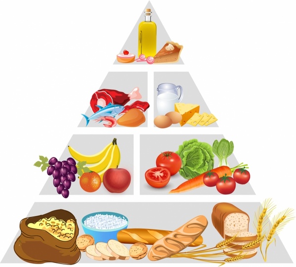 600x540 Food Pyramid Free Vector In Adobe Illustrator