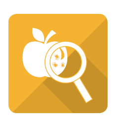 234x256 Food Safety Awareness