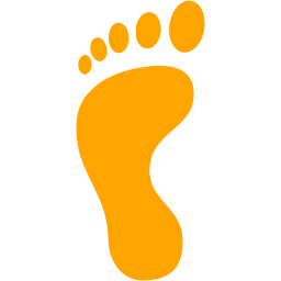 256x256 Orange Left Footprint Icon