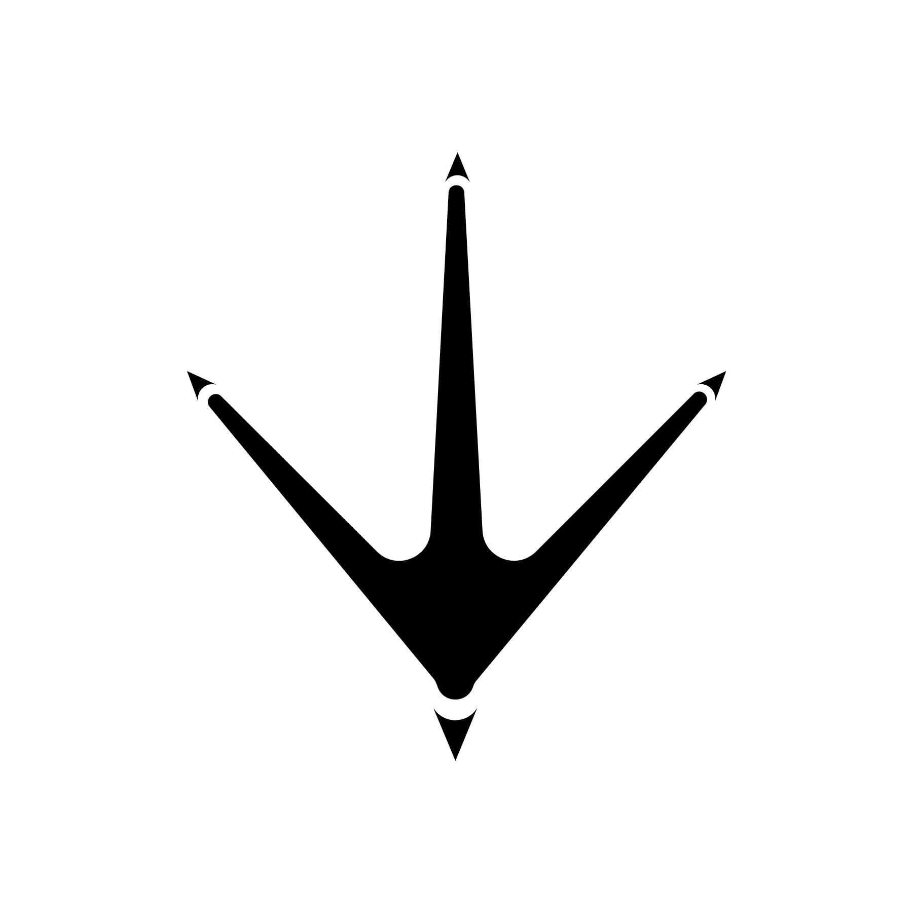 1801x1801 Bird Footprint Icons