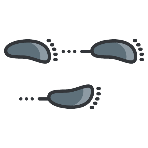 512x512 Footsteps Icon