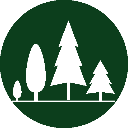 485x485 Forestry Forestry Nz Nz Government