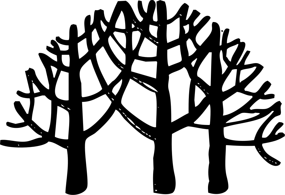 981x674 Tropical Rain Forest Png Icon Free Download