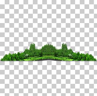 Forest Icon Png Images, Forest Icon Clipart Free Download 310x308 Forest Icon Png Images, Forest Icon Clipart Free Download