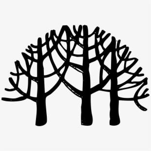 Point Drawing Forest 310x310 Point Drawing Forest